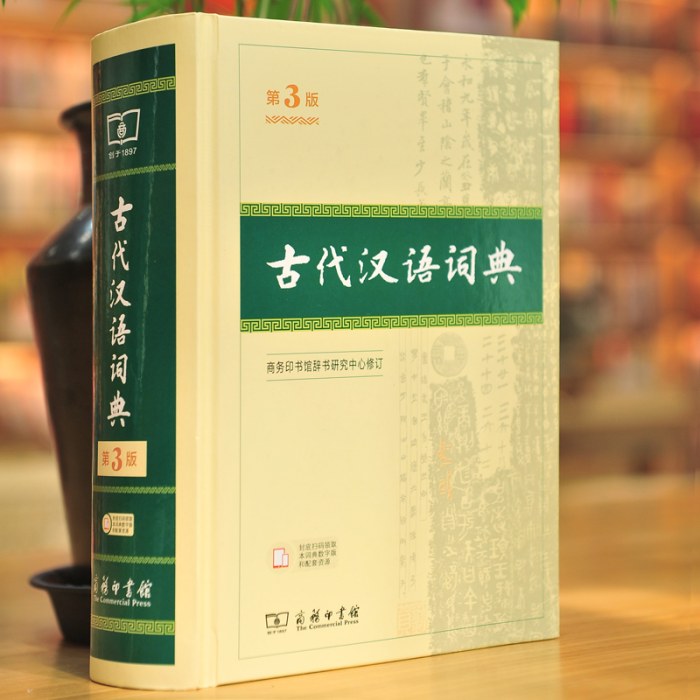 第三版新版古代汉语词典第3版