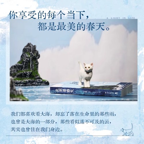 此刻是春天