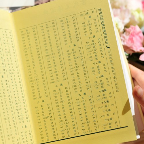 第三版新版古代汉语词典第3版