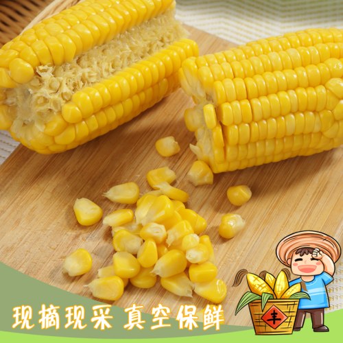 开袋即食云南水果甜玉米