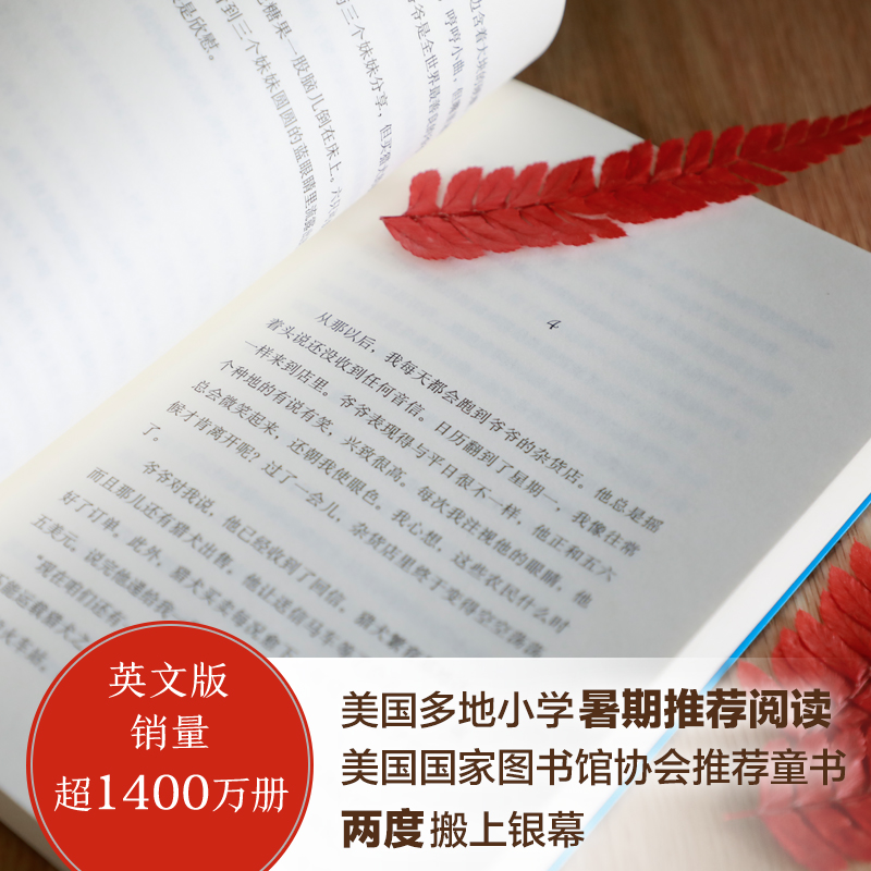 红色羊齿草的故乡