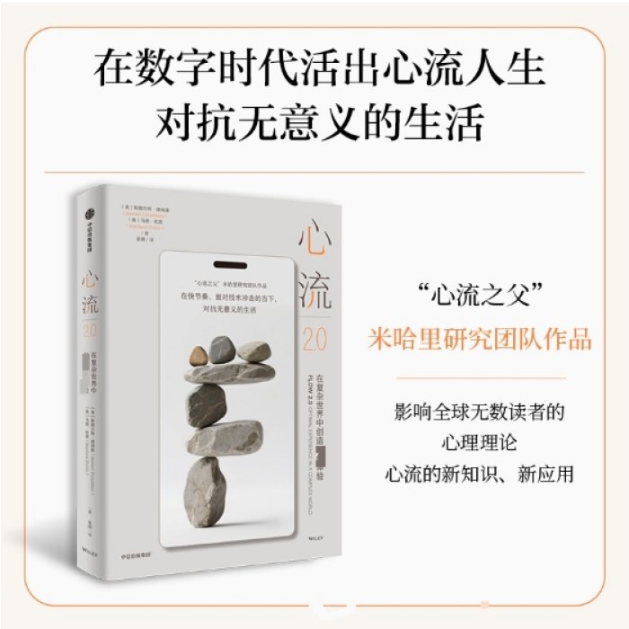 心流2.0：在复杂世界中创造最优体验