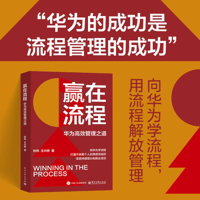 赢在流程：华为高效管理之道