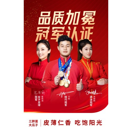 三胖蛋美满时嗑组合款礼盒/////原味218g*6罐/盒