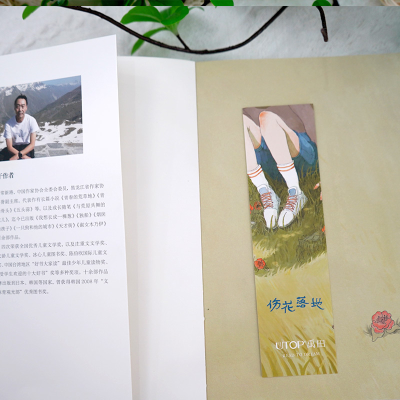 少年的你·成长派：伤花落地