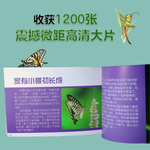博物大发现：我的1000位昆虫朋友（全5册）