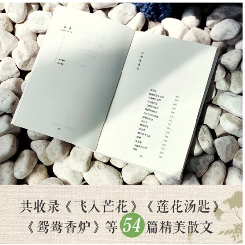 晴天爱晴雨天爱雨