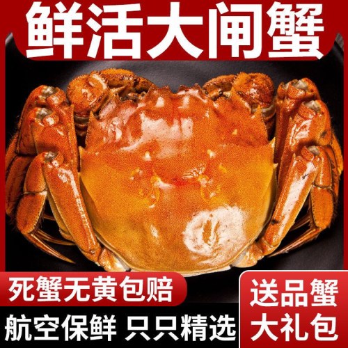 【盘锦河蟹】蟹稻家 盘锦河蟹母蟹2.3两~2.7两正宗稻田蟹溜达蟹公蟹大闸蟹8只/10只装