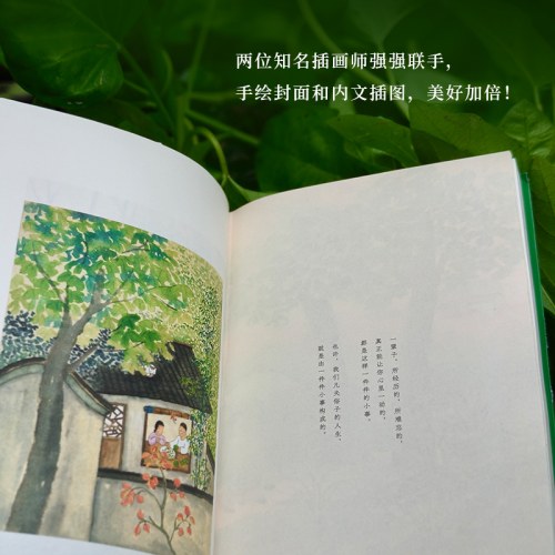 人间有个小菜园