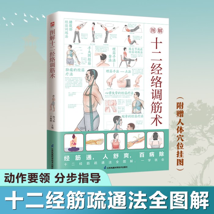 图解十二经络调筋术