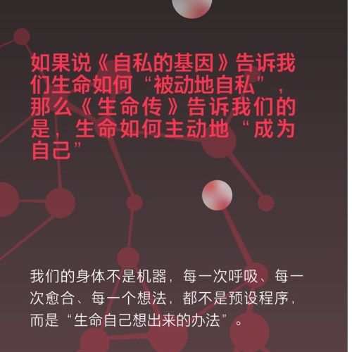 生命传
