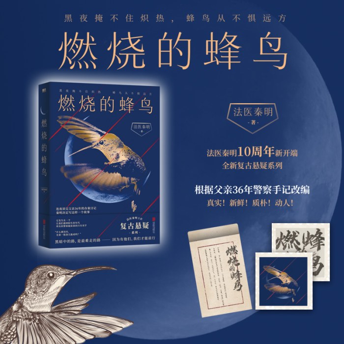 燃烧的蜂鸟1