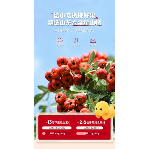 忆小口儿童山楂系列