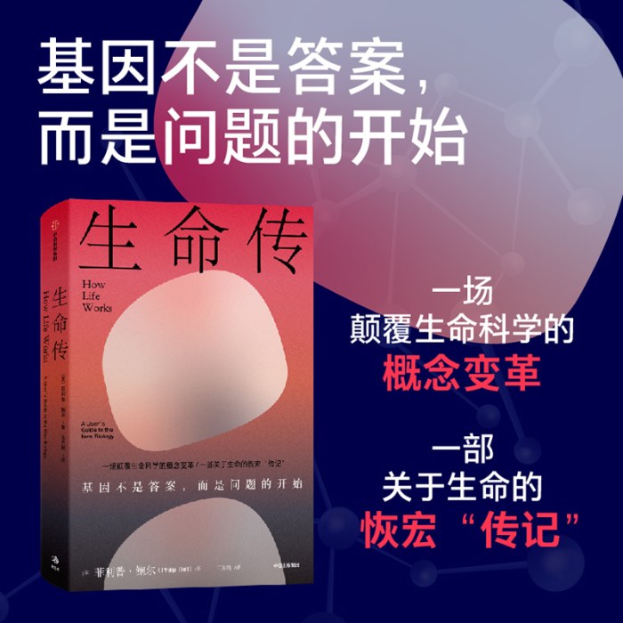 生命传