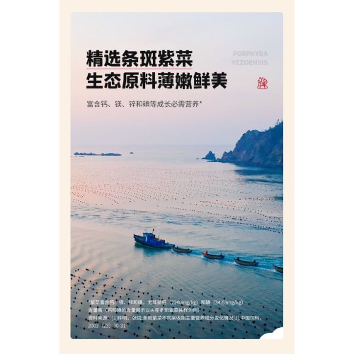 忆小口-高钙奶酪海苔脆