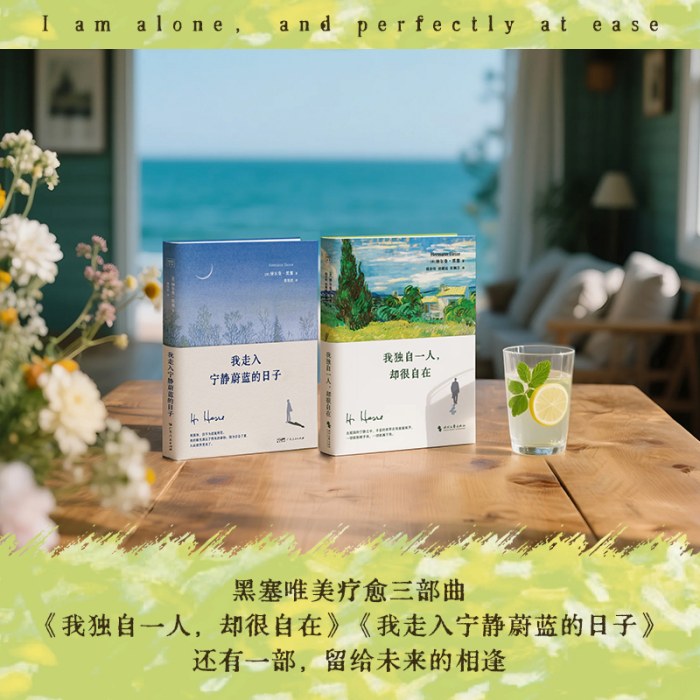 我独自一人 却很自在