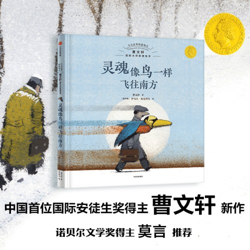 灵魂像鸟一样飞往南方