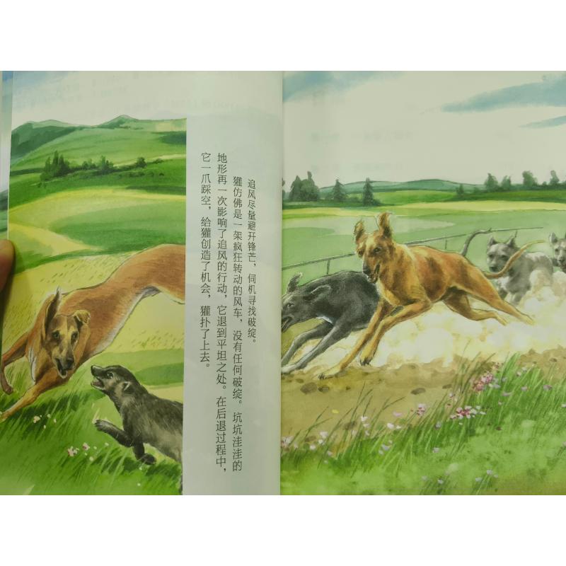 猎犬追风