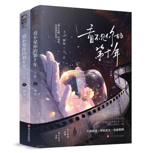 看不见你的第十年 全2册