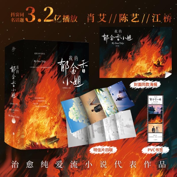 我的郁金香小姐