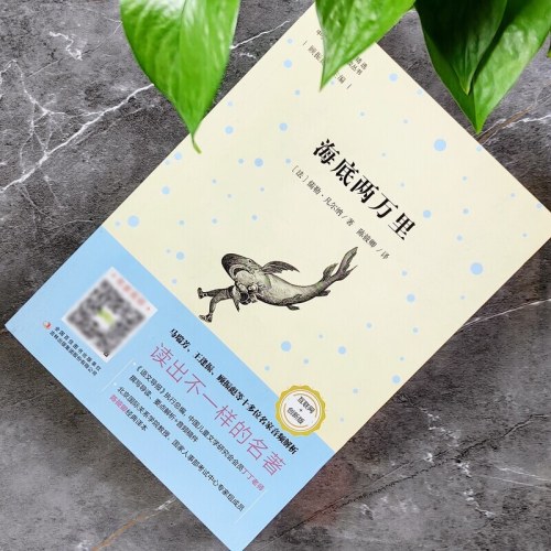 语文新课标必读丛书海底两万里