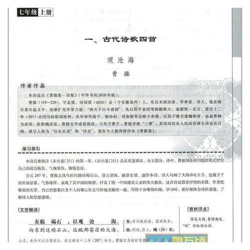 初中文言文注释及赏析2025