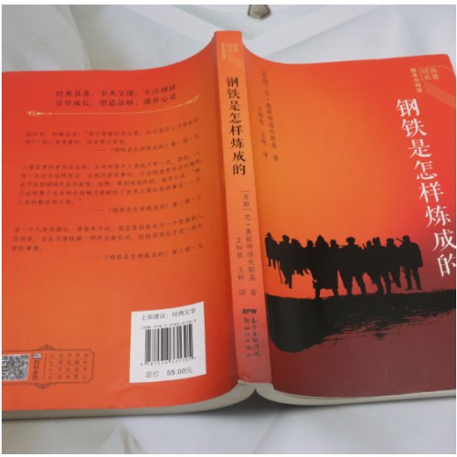 经典名著整本书阅读:钢铁是怎样炼成的