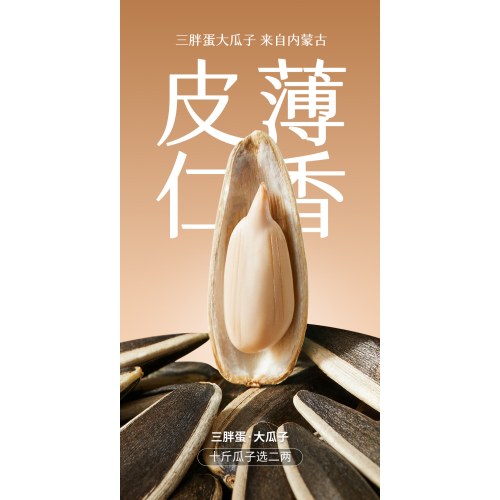 三胖蛋美满时嗑组合款礼盒/////原味218g*6罐/盒