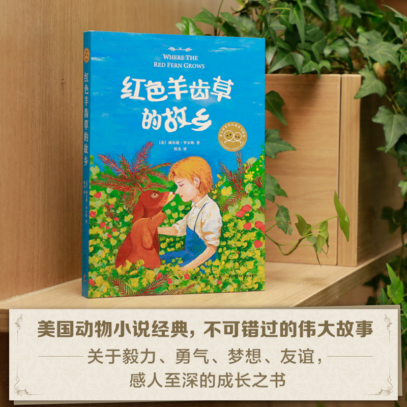 红色羊齿草的故乡