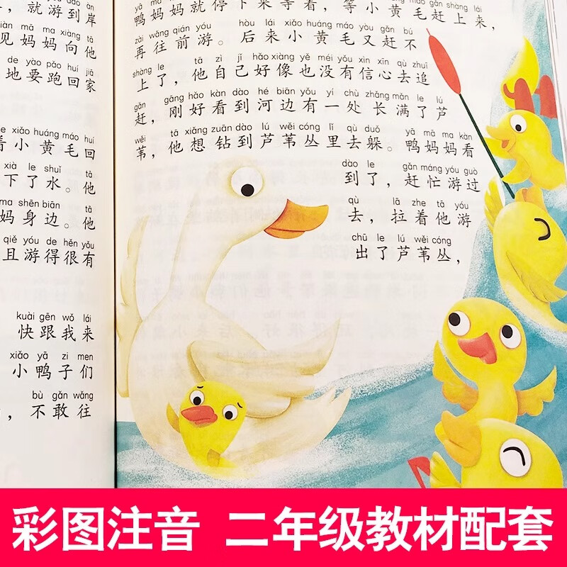 一只想飞的猫-快乐读书吧二年级上教材版