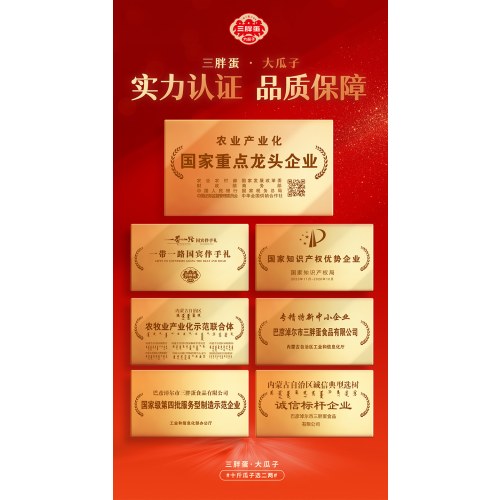 三胖蛋美满时嗑组合款礼盒/////原味218g*6罐/盒