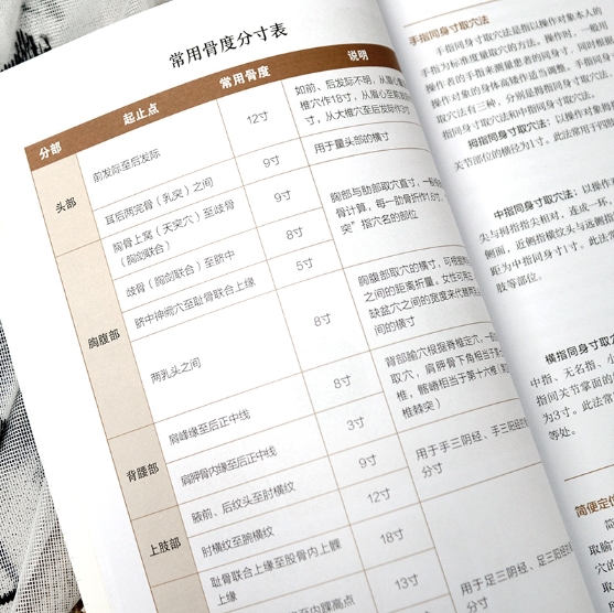 视频详解人体穴位大全