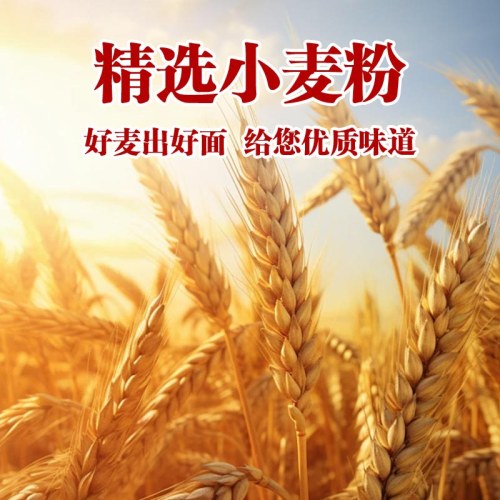 农科院研制薏米茯苓山药龙须面
