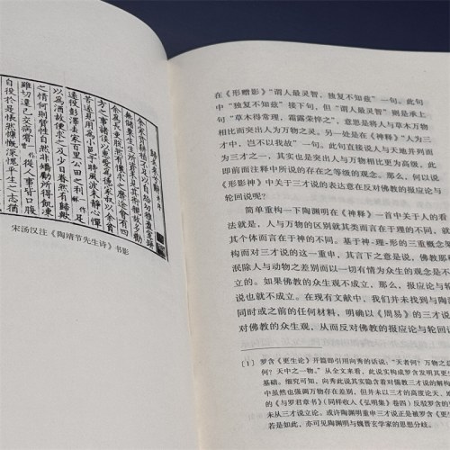隐逸之间：陶渊明精神世界中的自然、历史与社会