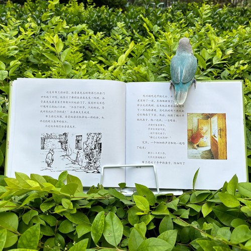 大师名作绘本·小猪布兰德的故事