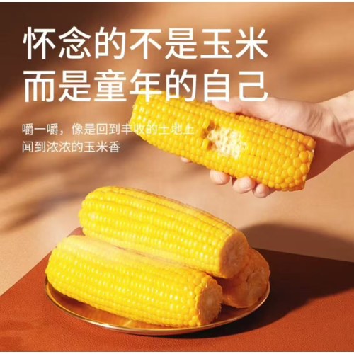 【三胖蛋玉米228g*5】糯玉米真空鲜包装袋 加热即食（5只装）