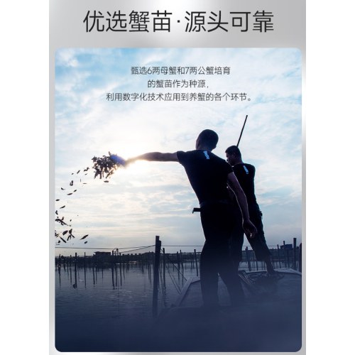 黄酒+蟹卡  中秋礼兰亭序G20非遗绍兴黄酒750ML2瓶（礼袋装）+蟹状元598大闸蟹蟹卡1张 套装谢礼走亲访友礼品