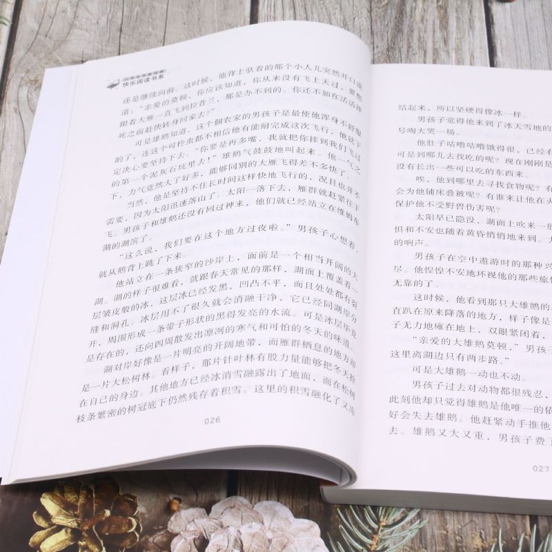 小学生名家经典快乐阅读书系六年级下：尼尔斯骑鹅旅行记