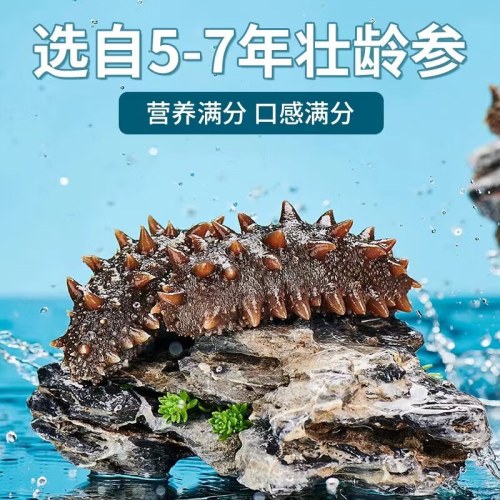 壹网渔即食海参500g