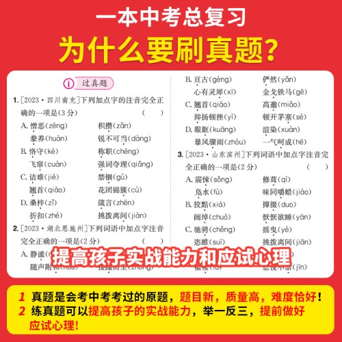 2026一本中考训练方案化学