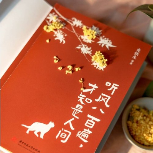 史铁生:听风八百遍,才知是人间三部曲(套装全3册)