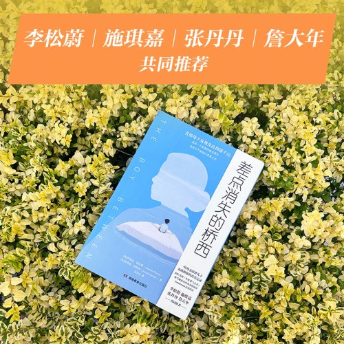 差点消失的桥西