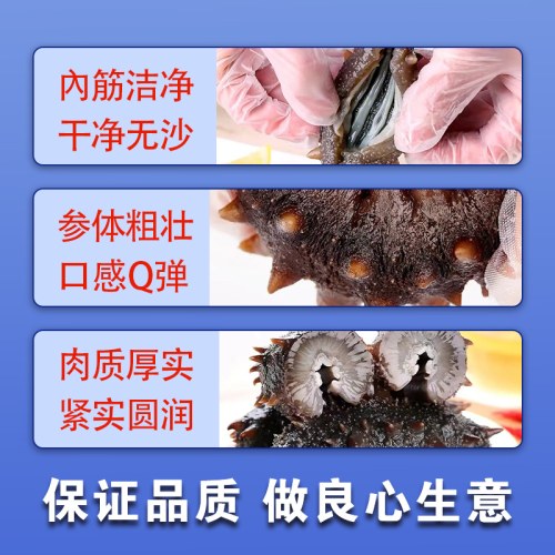 海参即食大连底播海参壹网渔8头/10头/12头混装（1斤/2斤/3斤）