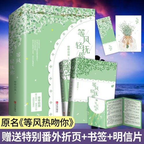 等风轻抚你(全2册)