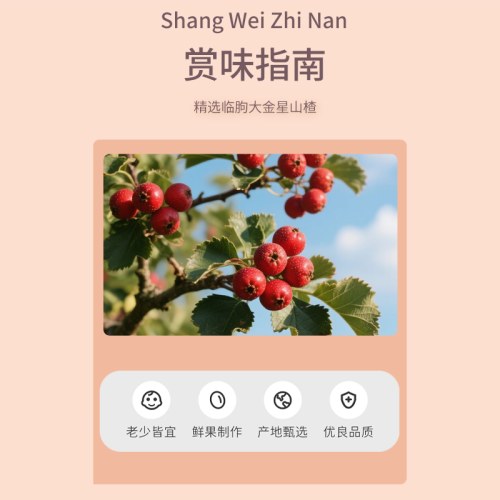 三只松鼠棒棒山楂108g