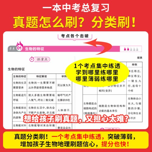 2026一本中考训练方案化学