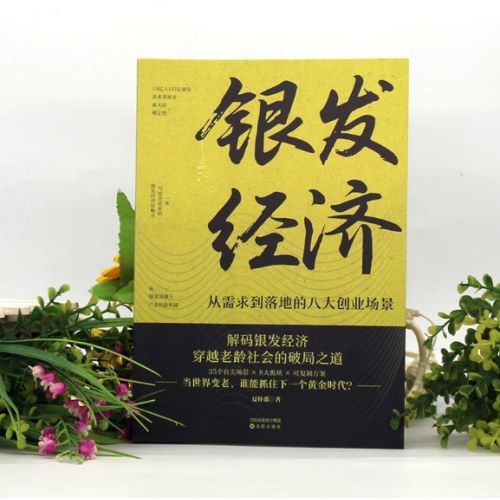 银发经济 : 从需求到落地的八大创业场景