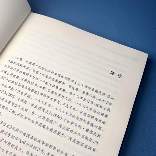 经典译林：汤姆·索亚历险记