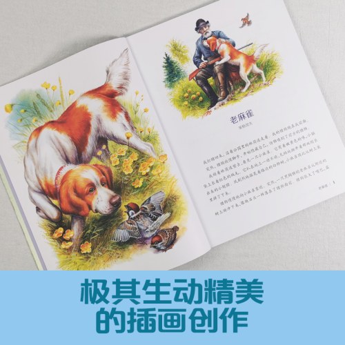 世界自然文学大师作品·美绘本大自然里的故事海边的森林猫