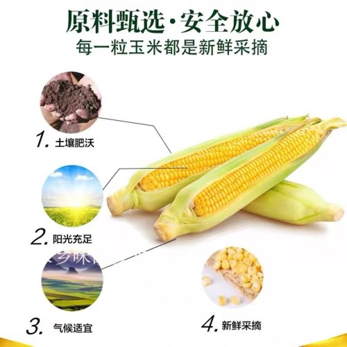 北大荒压榨玉米油